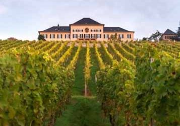 Schloss Johannisberg ganz oben bei Best 50 und VINUM Weinguide