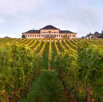 Schloss Johannisberg ganz oben bei Best 50 und VINUM Weinguide